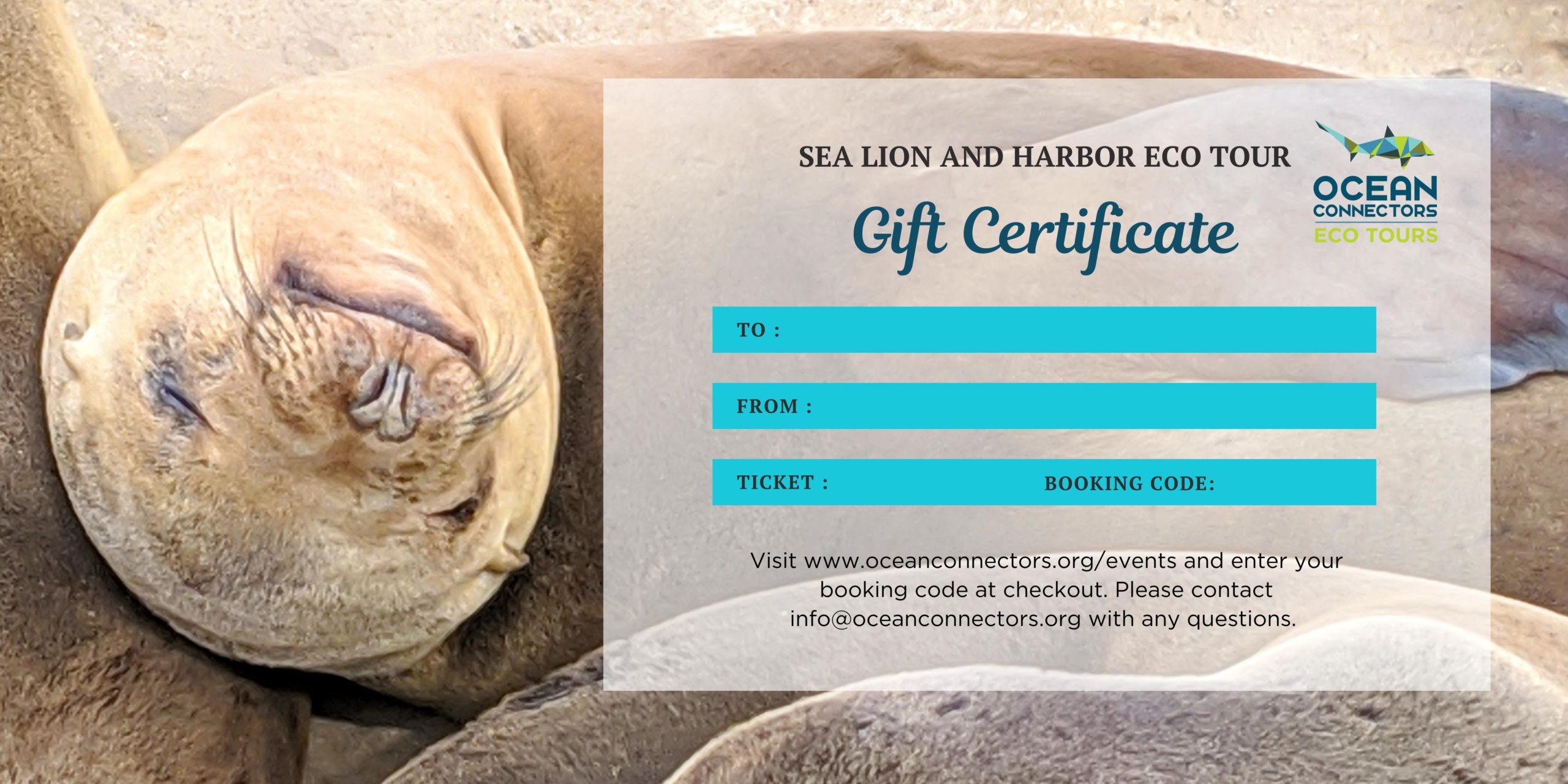 Sea Lion and Harbor Tour Gift Certificate