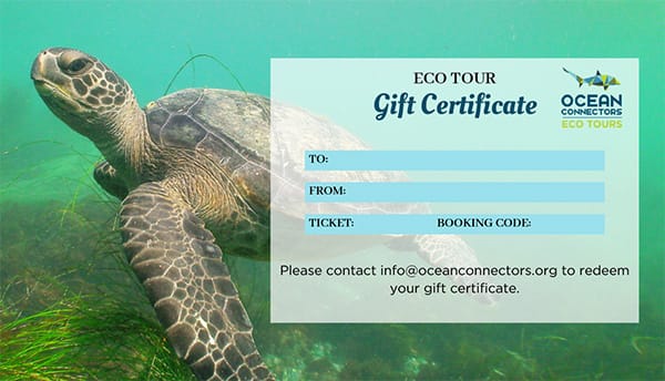 Give the Gift of an Eco Tour!