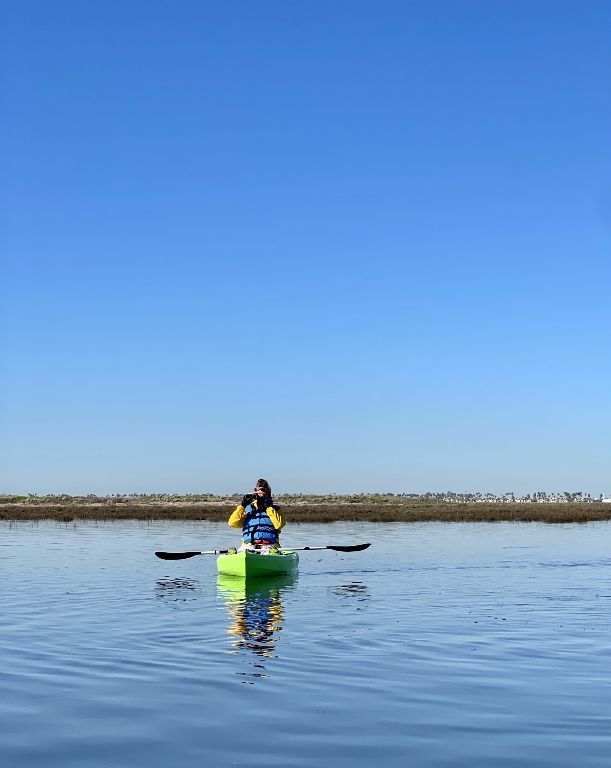 Canoe In Ocean Wildlife Kayaking Eco Tour – Ocean Connectors
